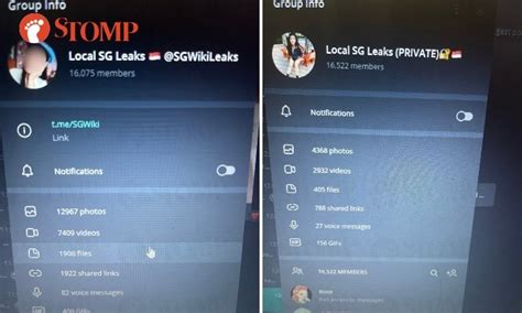 sg mega leaks|Man linked to SG Nasi Lemak Telegram chat group。